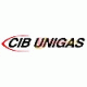 Cib Unigas (Италия)